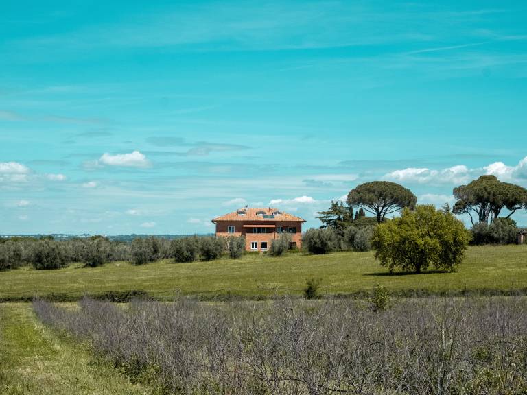 Casa YUVI Organic Farm — photo 4