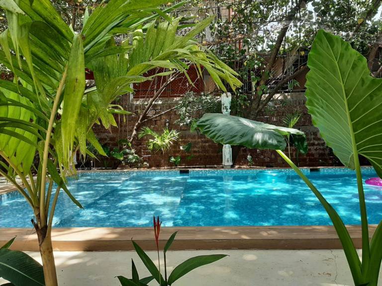 Anexx Goa — photo 2