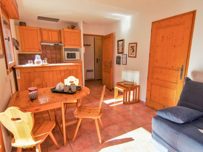 Appartement Les Praz de Chamonix