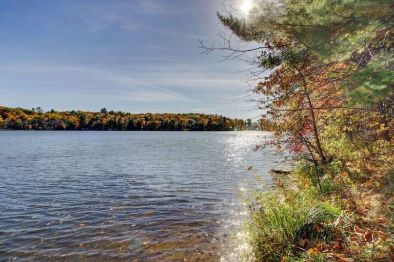 Cabin Brainerd