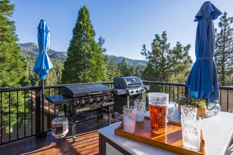 Family-friendly ample cabin with grill, terrace & jacuzzi | Mountain view | Pets allowed — photo 5