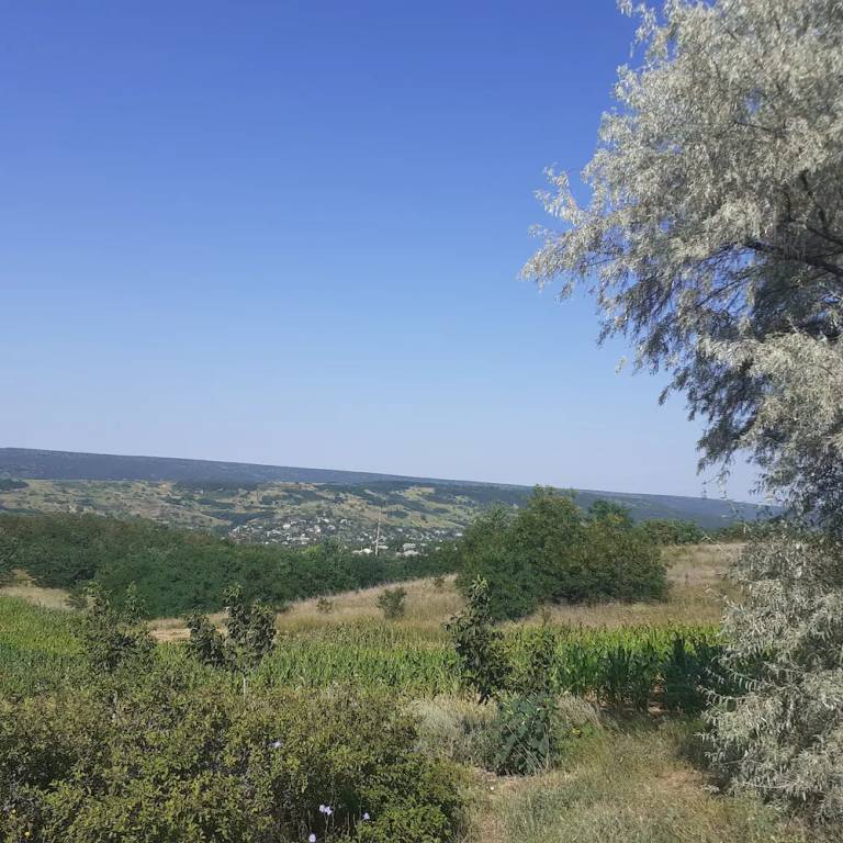 Privatna soba  Ulmu