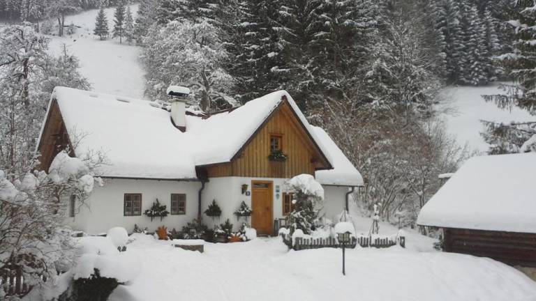 Ferienhaus Gemeinde Wildalpen