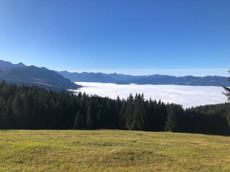 foto10