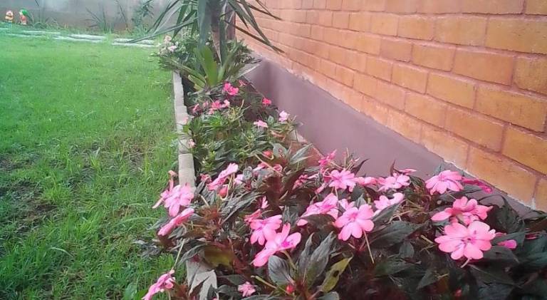 foto43