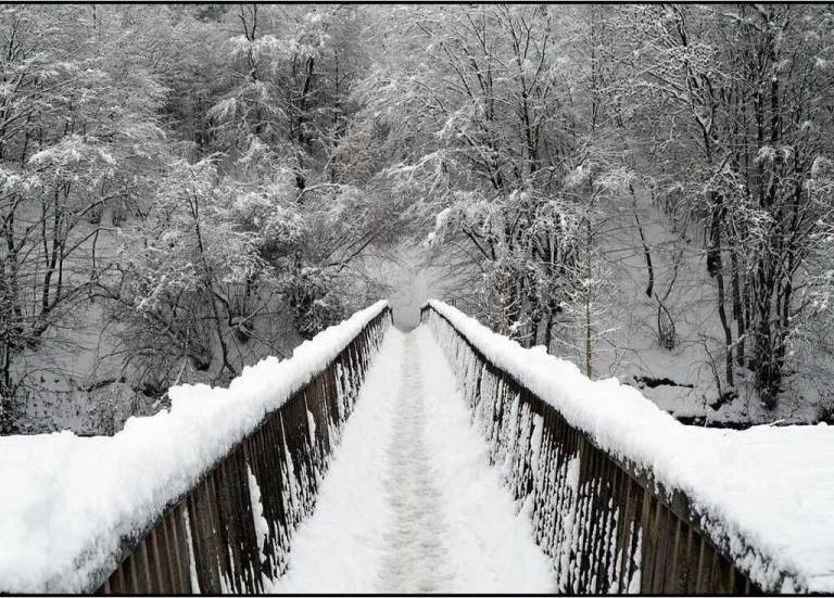 Ferienwohnung Overath