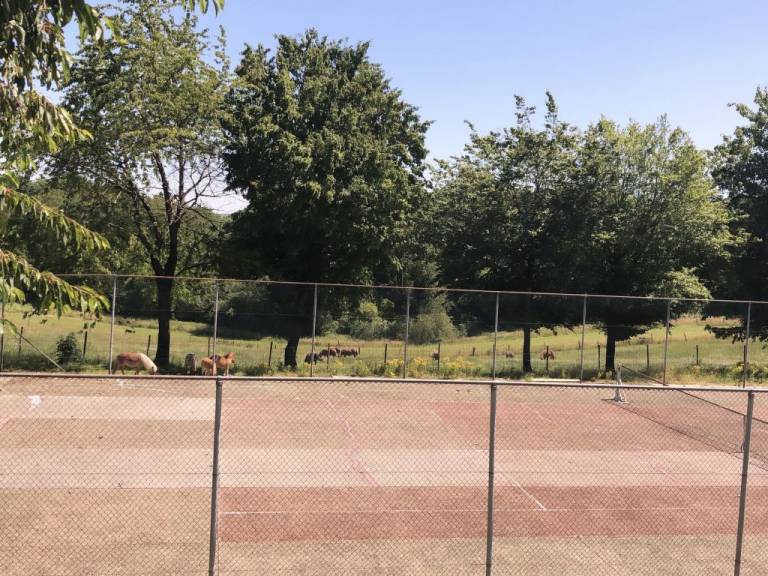 foto17