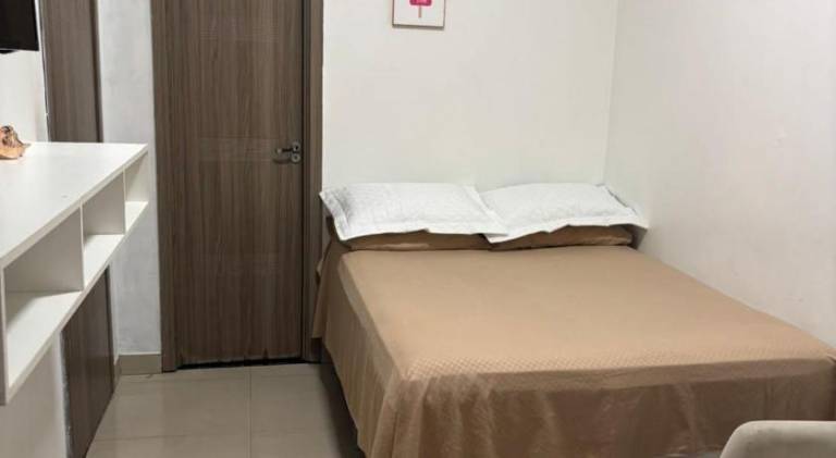 Holiday apartment for 3 persons in Manaus