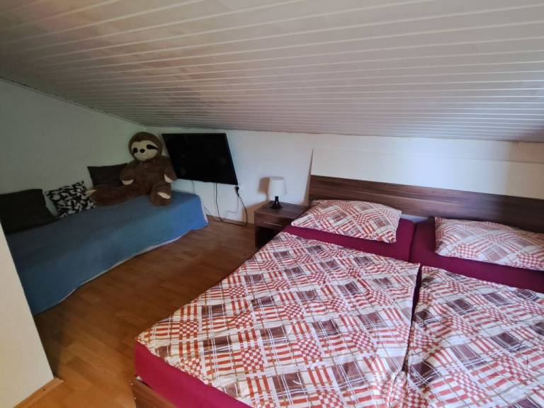 foto11