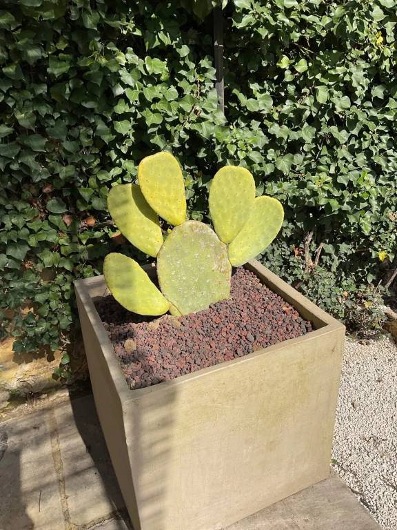 foto33