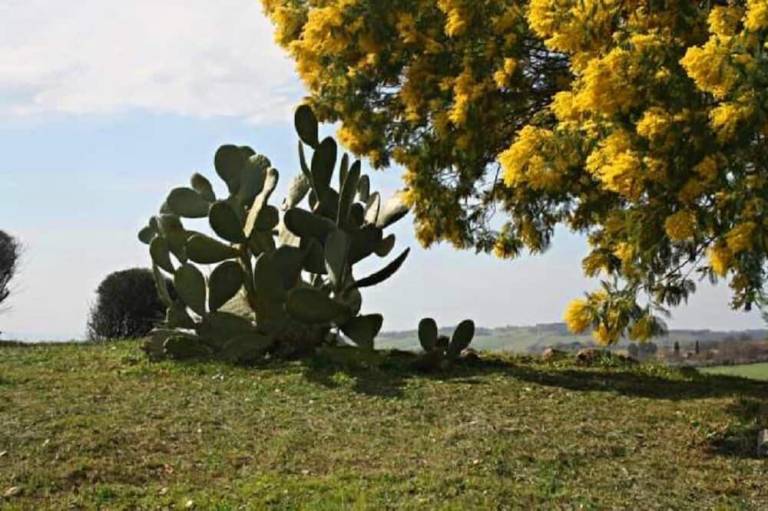 Agriturismo Scansano