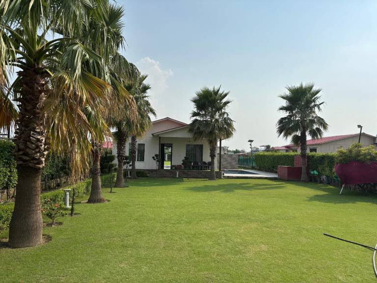 Beautiful farm with pool, barbeque & yard | Good for workation | Pets are welcome — photo 4