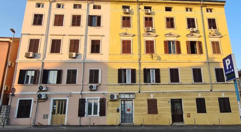 Lovely holiday apartment | Pets are welcome — photo 4