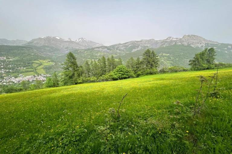 foto20