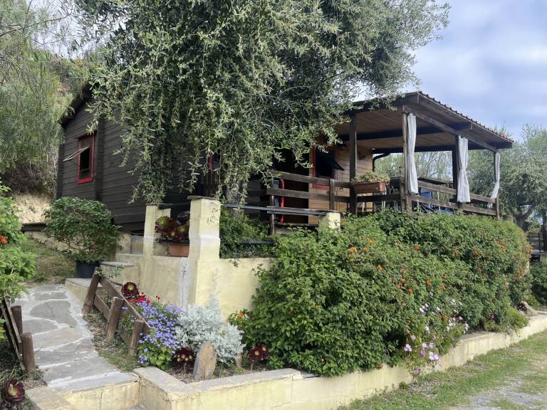 foto46