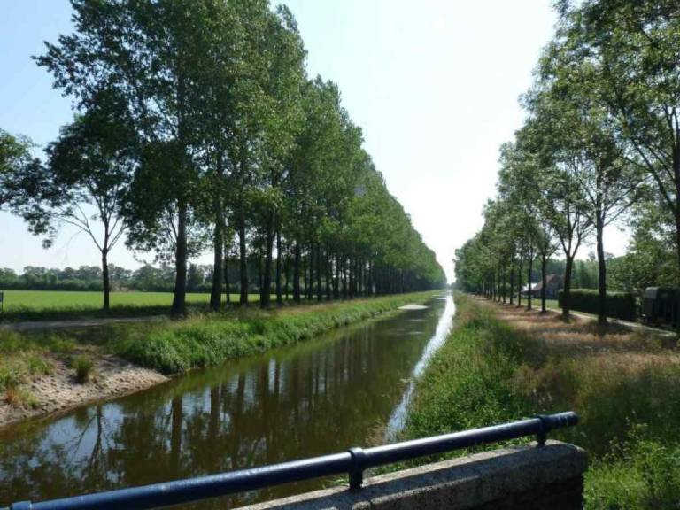 foto16