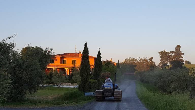 Agriturismo Il Giogo: Camera 8 — photo 4