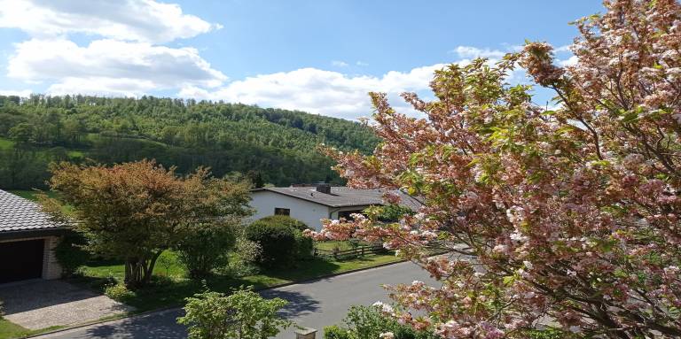 foto20