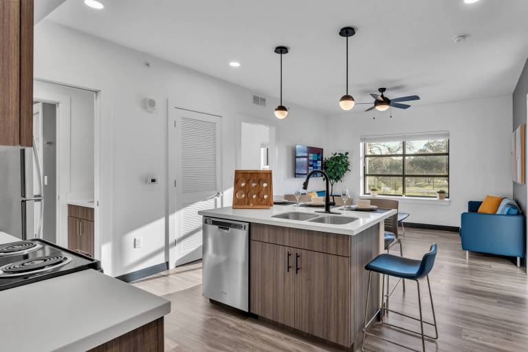 Apartment  Zephyrhills