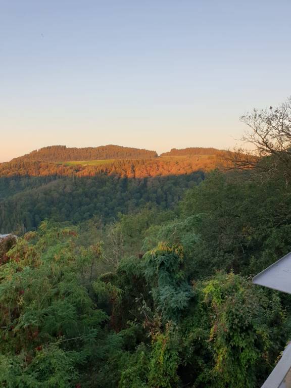 foto1