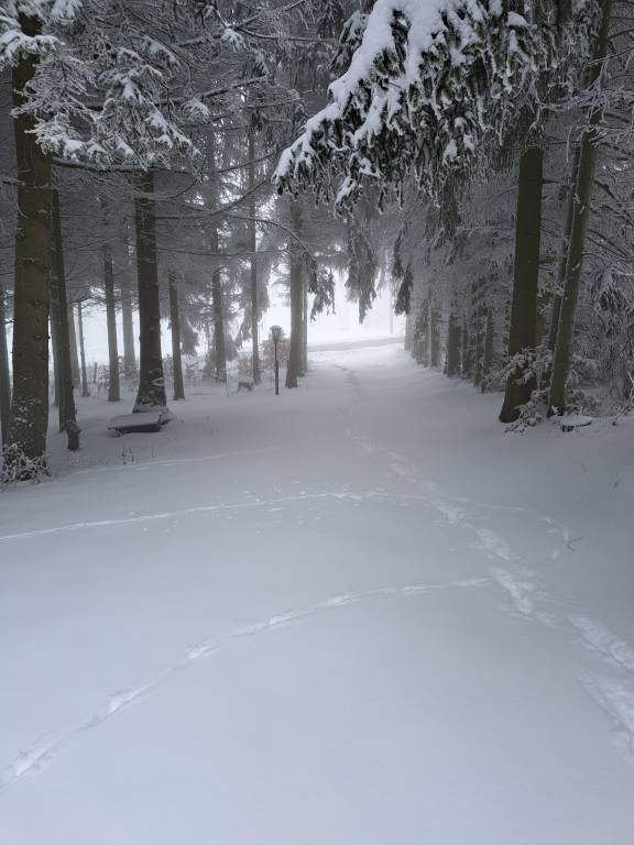 foto5