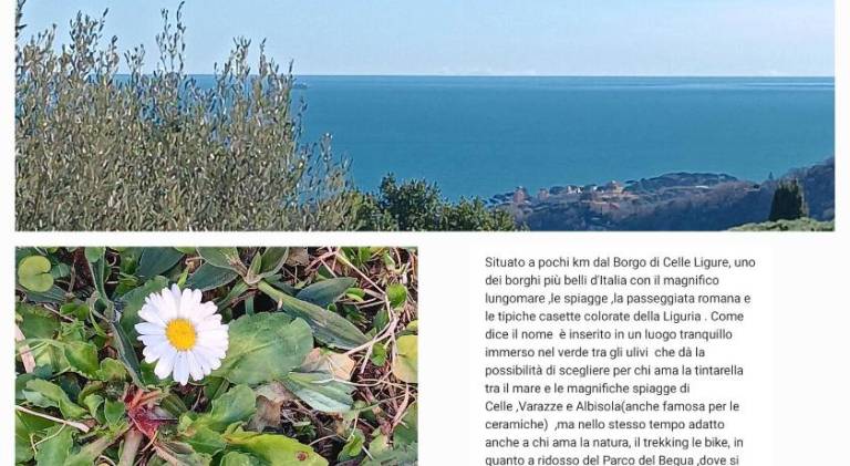 Holiday apartment | Pets allowed in Celle Ligure