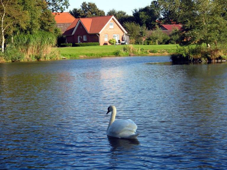 foto24