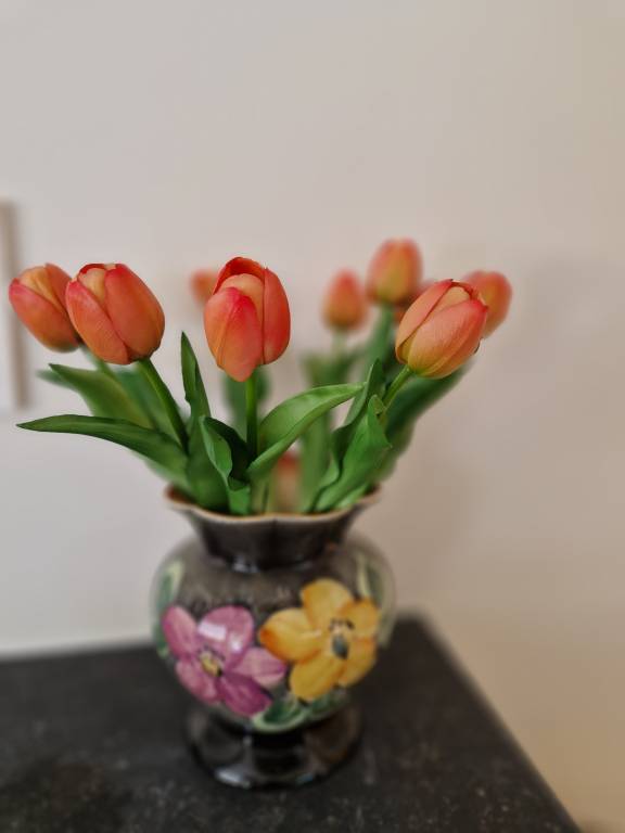 foto21