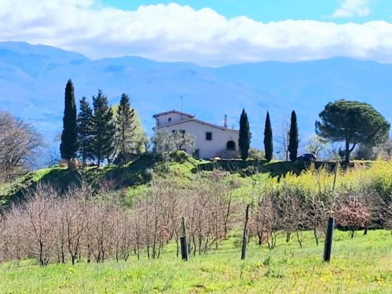 Ferienhaus in Troghi, San Donato In Collina f&uuml;r max. 6 Personen, 