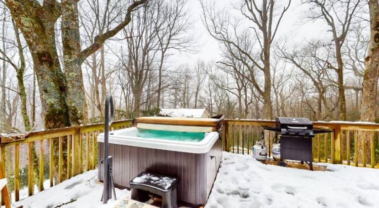 Vacation home with hot tub — photo 5