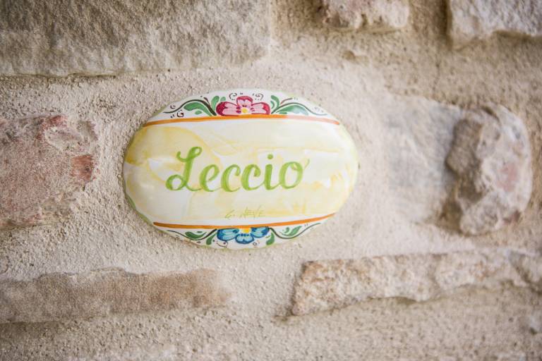 Le Querce di Serra San Quirico: Leccio — photo 3