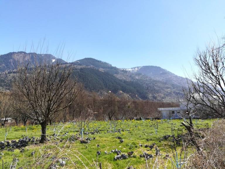 foto44