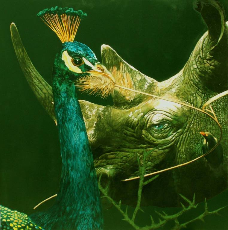foto7