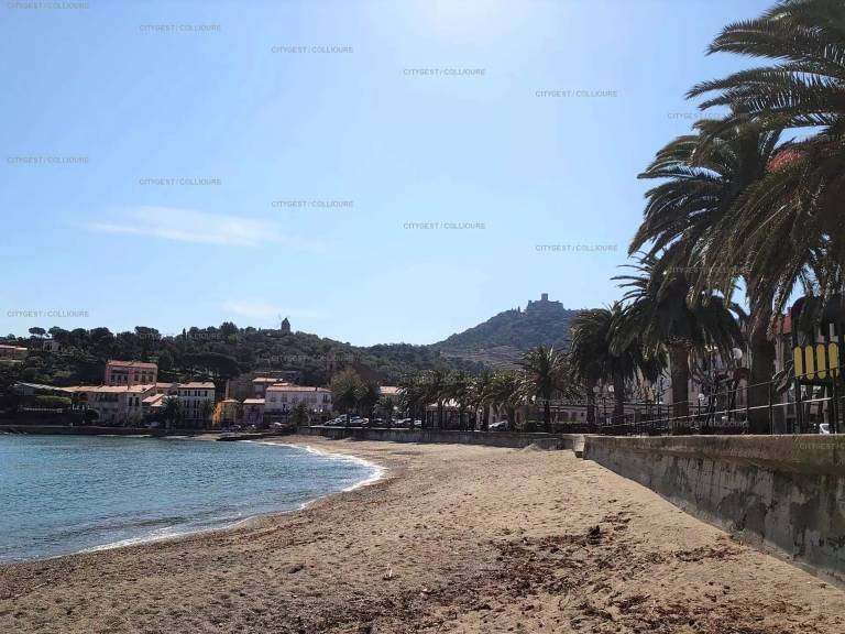 Apartment | Pets allowed in Collioure