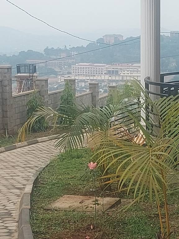 foto14