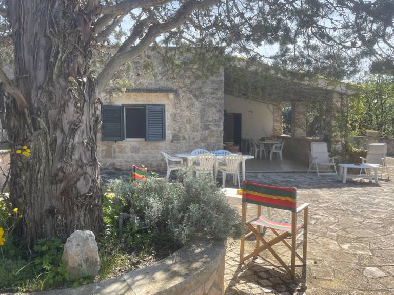 Rental apartment | Pets are welcome in Fasano