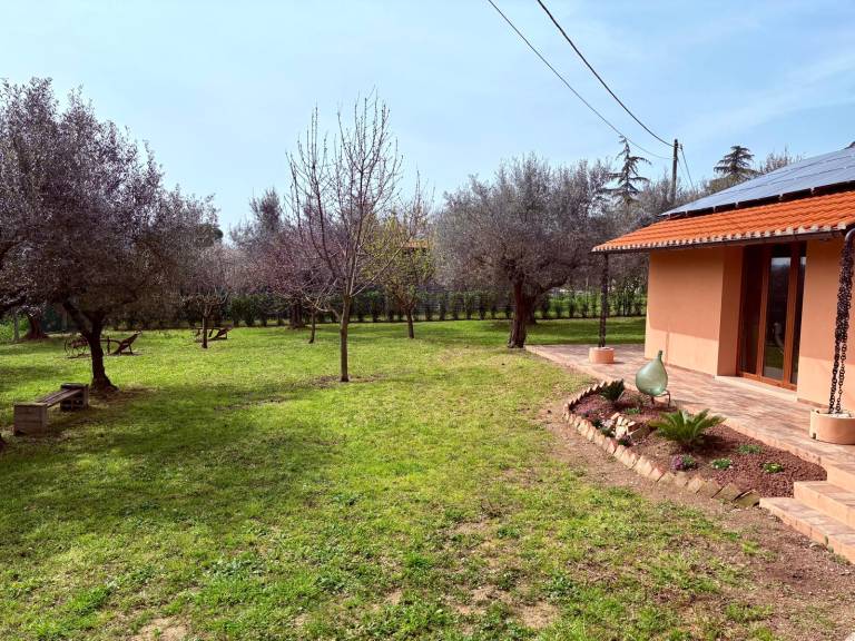 foto2