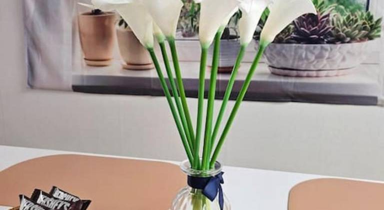 foto16