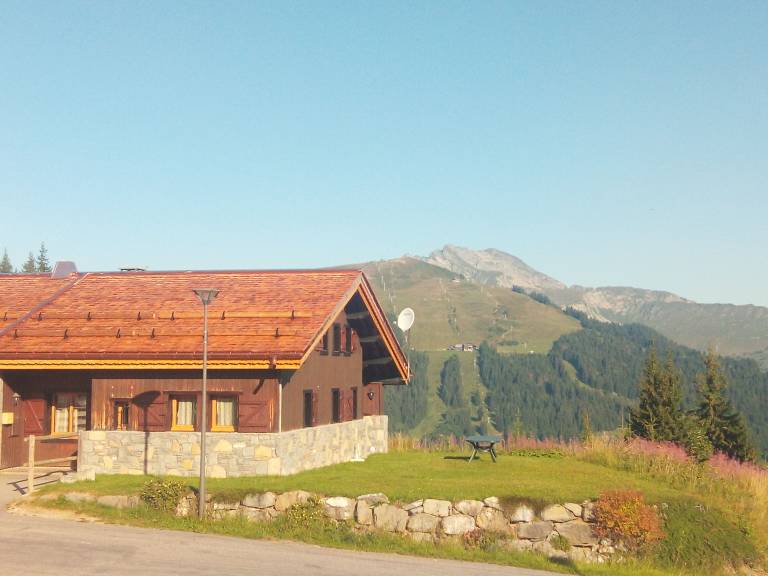 Chalet  Les Gets