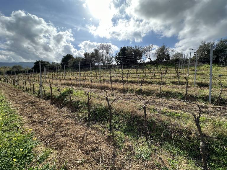 Camera privata Posada