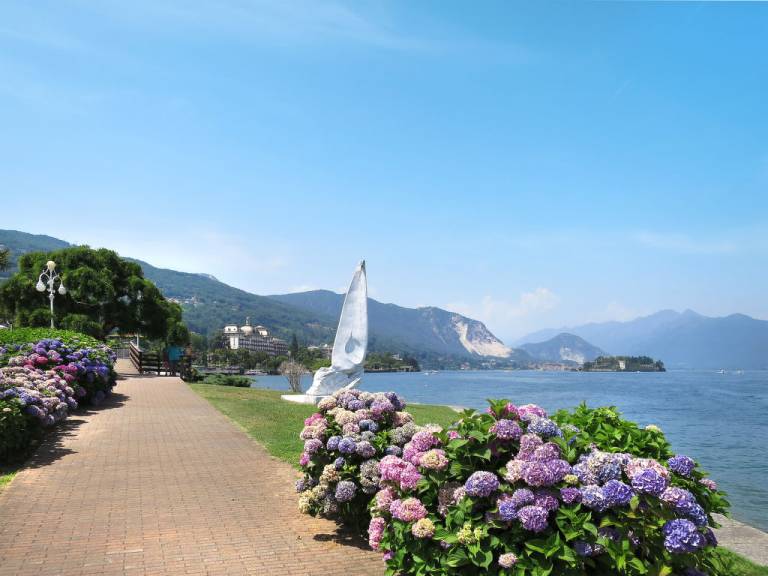 foto19