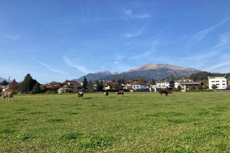 foto14