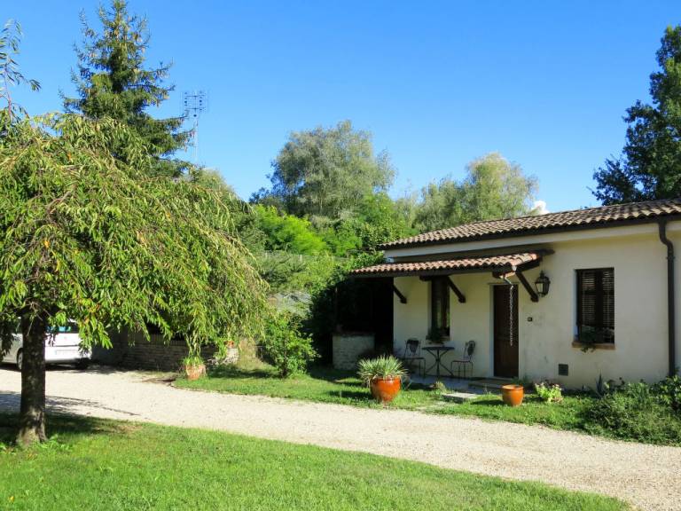 foto19