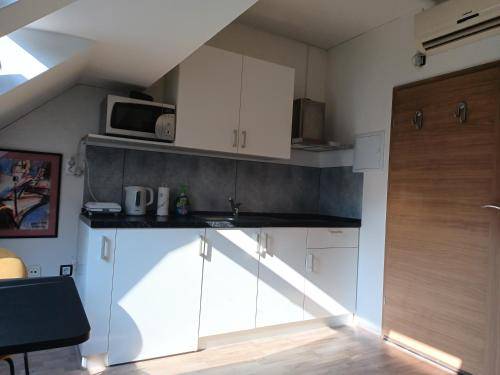 Apartma Praprotno