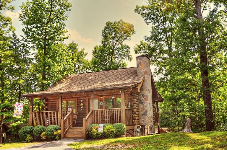 Cabin with private pool — photo 2