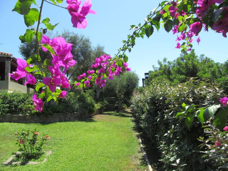 Beautiful vacation home with terrace, yard & barbeque | Nature view | Beach nearby | Dogs allowed — photo 4