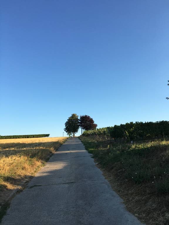 foto15