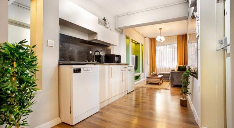 Pleasant serviced apartment with terrace | Close to Galata Tower | Pets allowed — photo 5