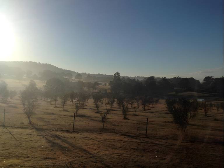 foto46