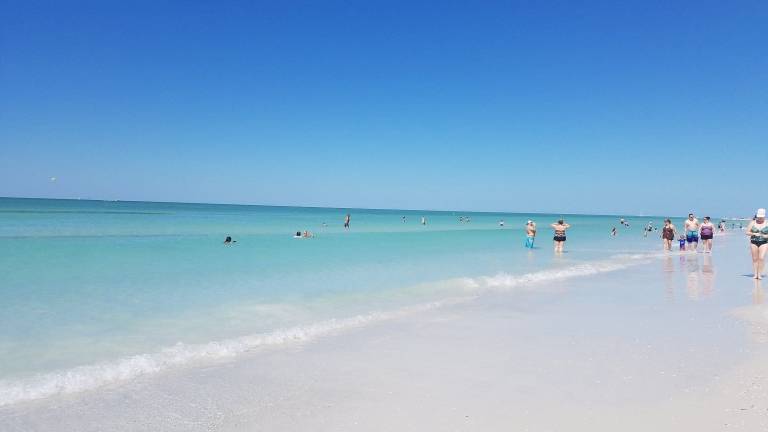 Apartment Siesta Key